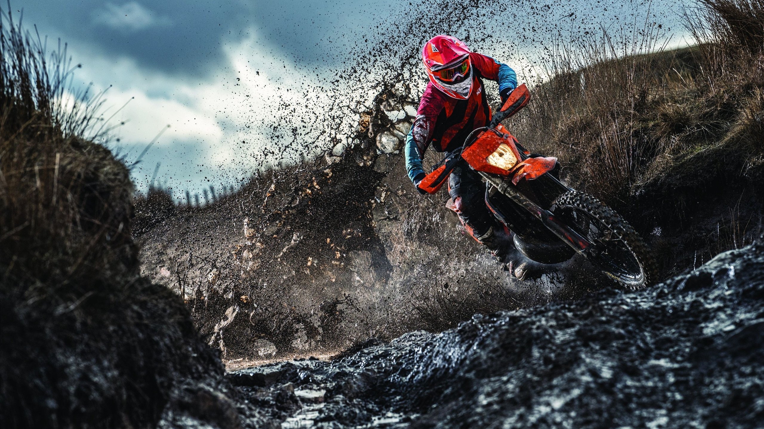 网球公开赛现场观众人数增加